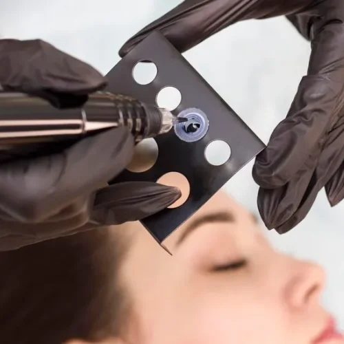 Micropicmentación 2